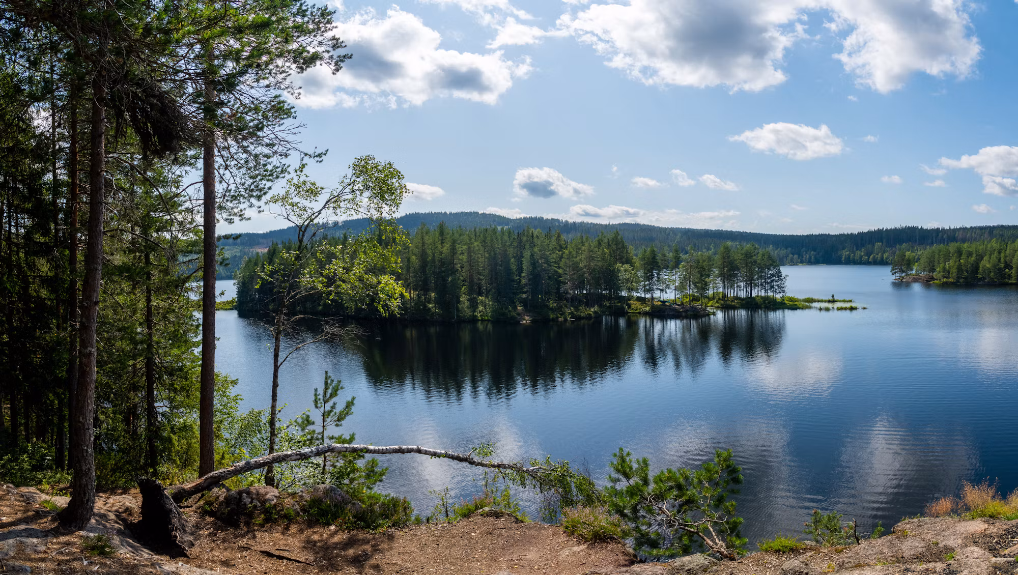 Exploring Nature: Your Ultimate Guide to Camping Success
